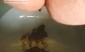 fat girl pooping in toilet