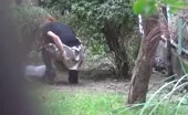Hot babe shitting in forest