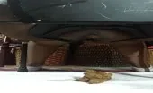 Spying on blonde milf shitting