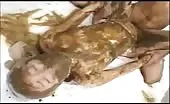 Hardcore scat fucking