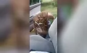 Sexy college girl shitting